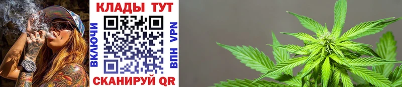 Бошки Шишки Новый Оскол