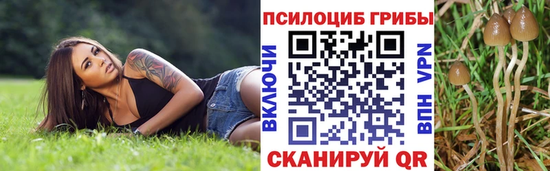 Галлюциногенные грибы Magic Shrooms  Купить  Новый Оскол 