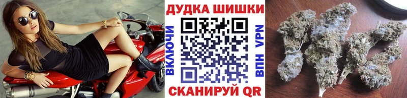Конопля Amnesia  Купить закладки  Новый Оскол 